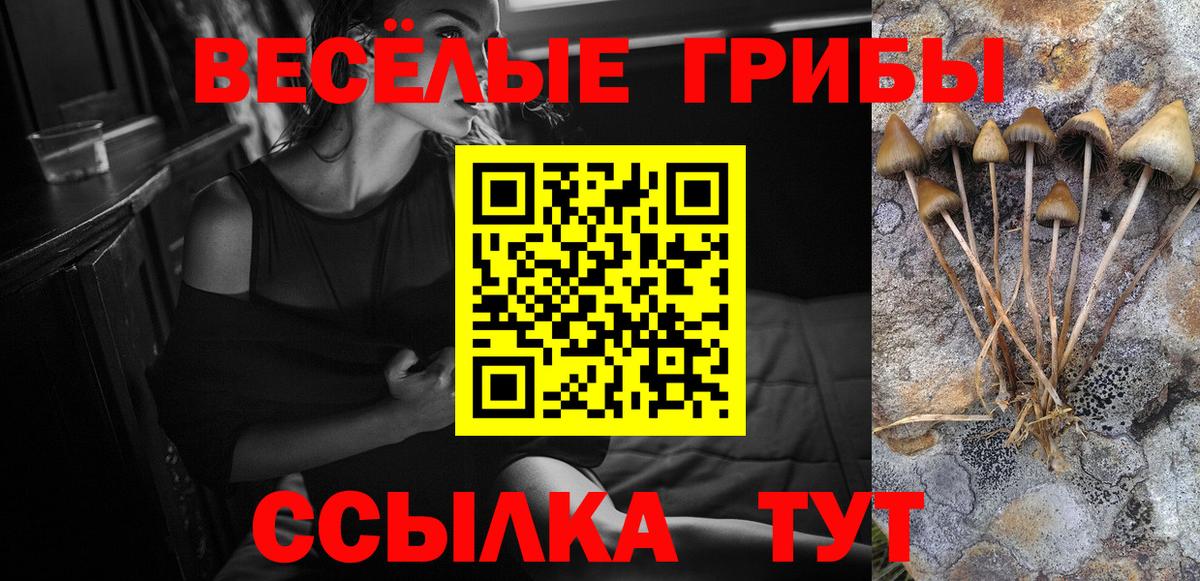 Галлюциногенные грибы Psilocybine cubensis Когалым